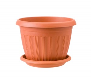 plant micro green pot