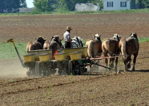 green farming