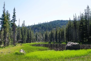 sustainable farming