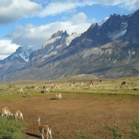 Can’t wait for Spring? Must Know Tips for your Pasture