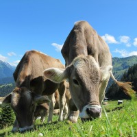 Get your Pastures Ready for Spring Grazing