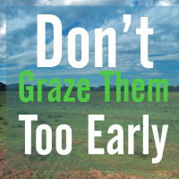 Grazing Tips for Spring – Pasture & Feed Management