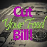 5 Ways to Cut your Cattle Feed Cost