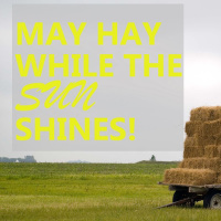 Make Hay While Sun Shines – Hay Silage & Animal Feed