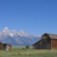 5 Ideas for Becoming a Successful Rancher