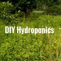 DIY Hydroponics – Grow your own Sustainable Livestock Feed